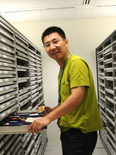 8803威尼斯检查中心创新论坛第一千八百零一讲：虫鸣凤舞伴花香：现代陆地生态系统的起源