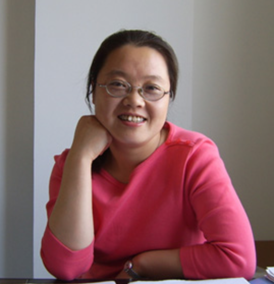 8803威尼斯检查中心创新论坛第一千七百五十讲：Random dynamics of dispersive-dissipative wave equations driven by nonlinear colored noise 