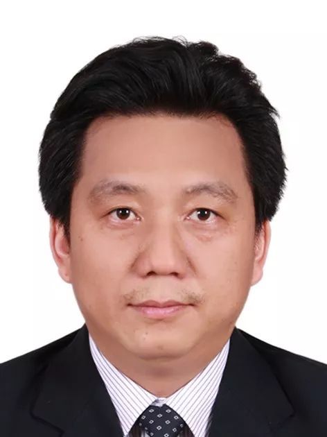 8803威尼斯检查中心创新论坛第一千零五十二讲： 有机染料—功能化及稳定性强化